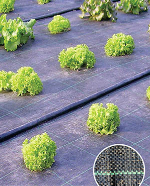 HDPE/PP Ground Cover/Weed Mats