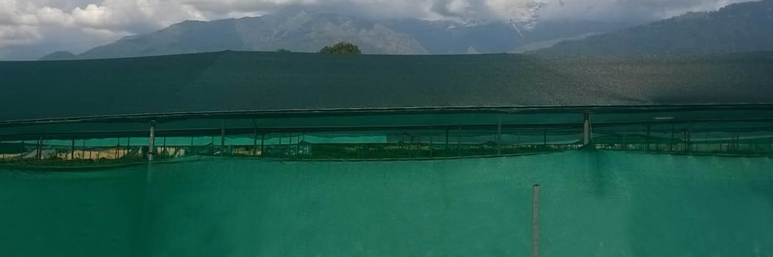 Rakshak Agro Shade Nets