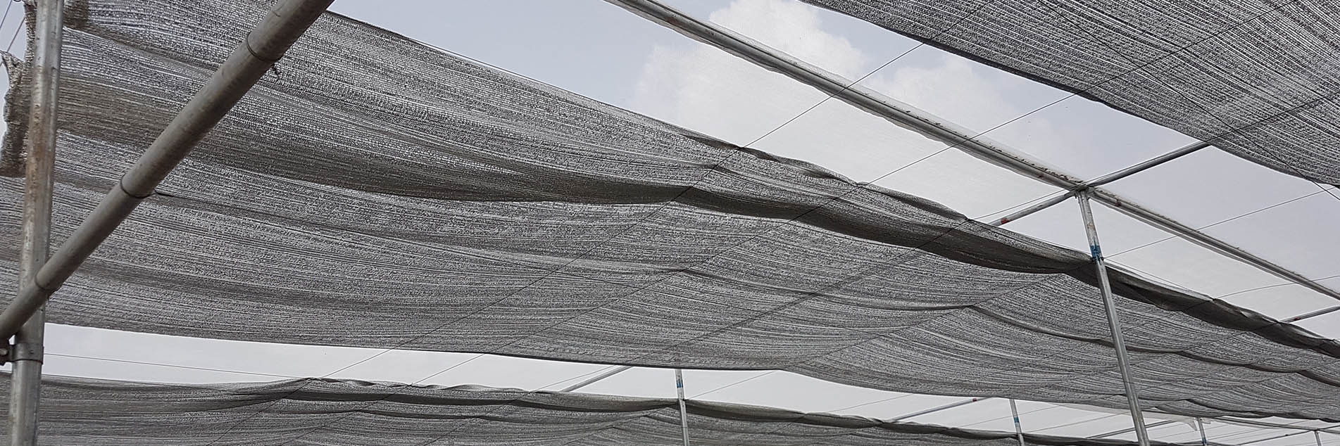 Thermal Nets